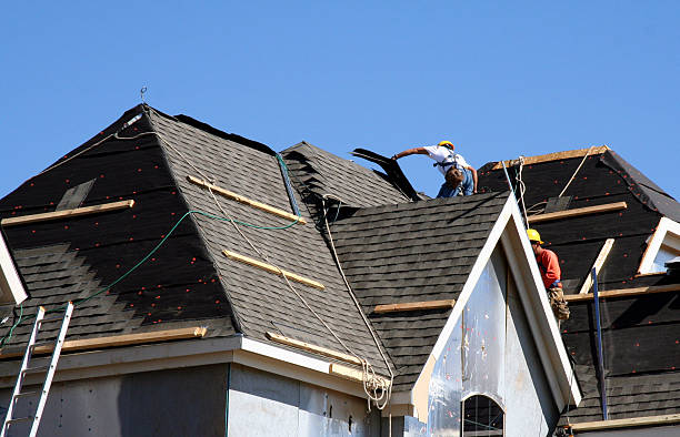 Roof Insulation in New Port Richey East, FL