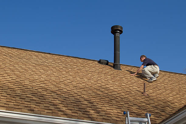 Best Roof Maintenance and Cleaning  in New Port Richey East, FL